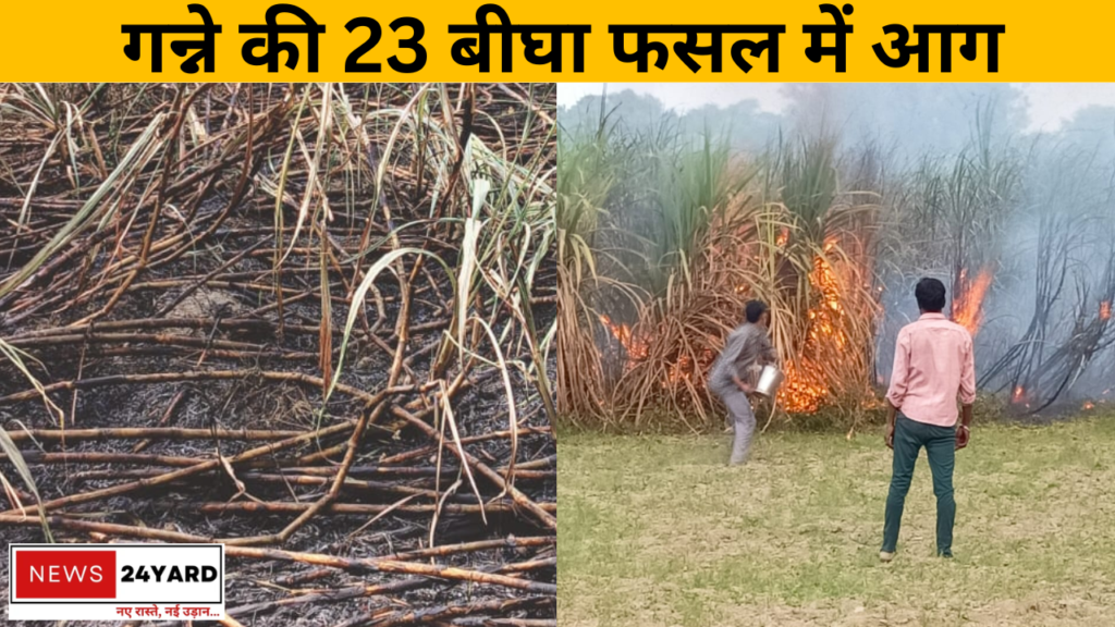 गन्ने की 23 बीघा फसल में आग